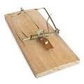 Rat catching board